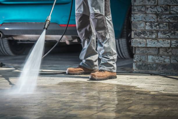 Best Winterizing Services  in Fulda, MN