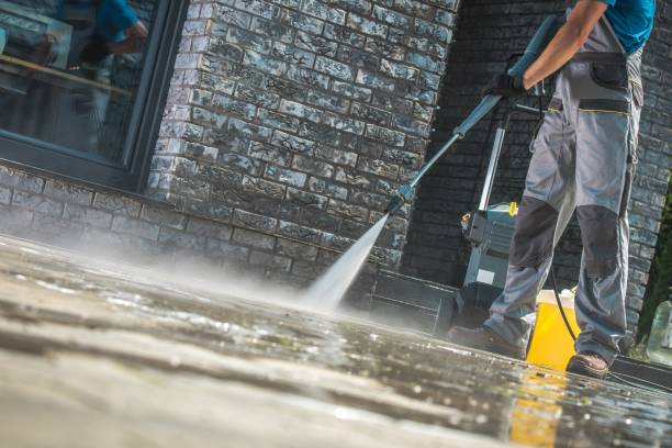 Best Animal Enclosure Cleaning  in Fulda, MN