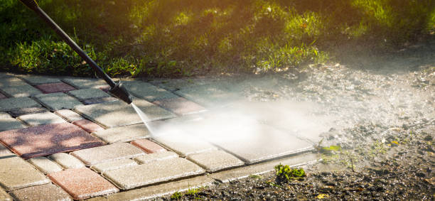 Best Roof Washing  in Fulda, MN